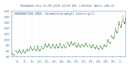 Gütemessstation Hohenwutzen, Oder, Gesamtchlorophyll der letzten 31 Tage