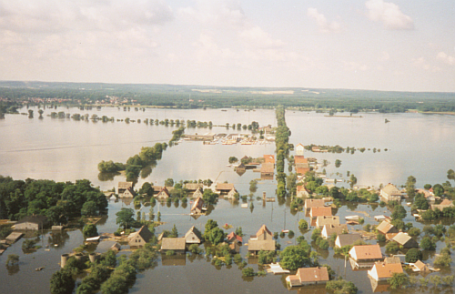 Ziltendorfer Niederung Juli 1997