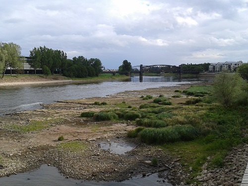 Niedrigwasser Domfelsen Magdeburg